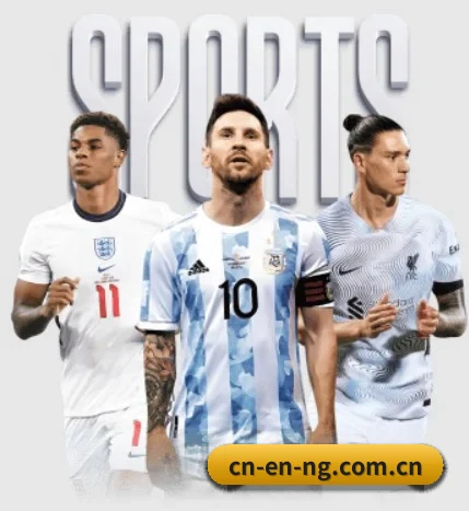 五大服务分区,信息按项目分类 | NGsports